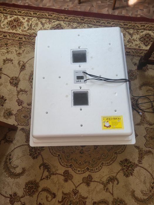 Несушка для циплят