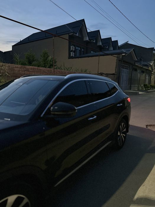 BYD chempion honor 2024