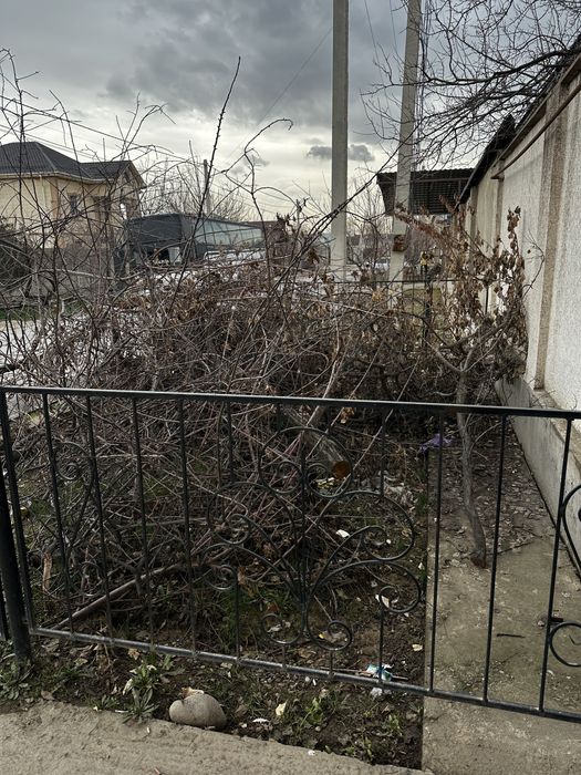 Отын керек болса алып кетсеңіздер болады