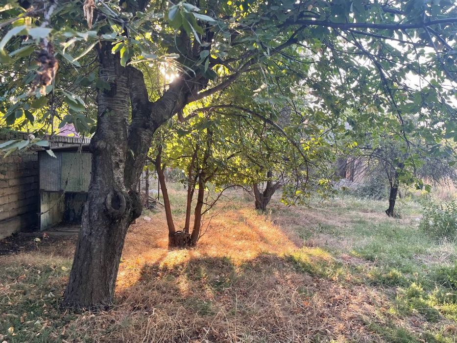 dacha ijaraga arenda