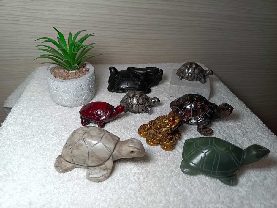 broscute pentru ornament