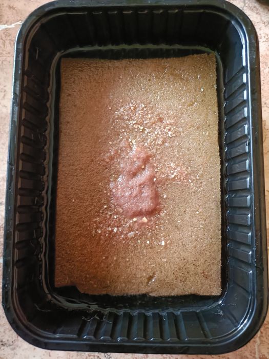 Аулофорус,живой корм