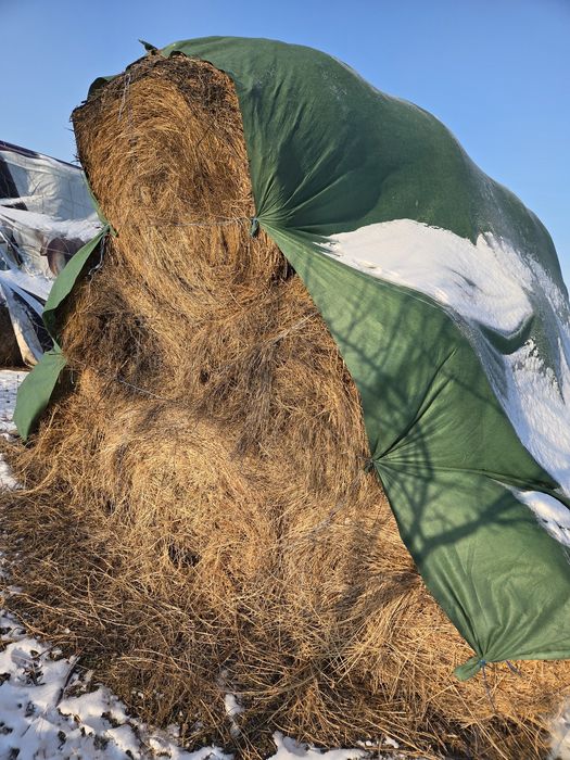 Baloti de fan si de paie 120×120