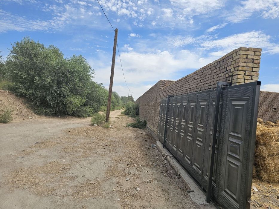 Мол боқиш учун 200 бош мола мўлжалланган ферма ижара