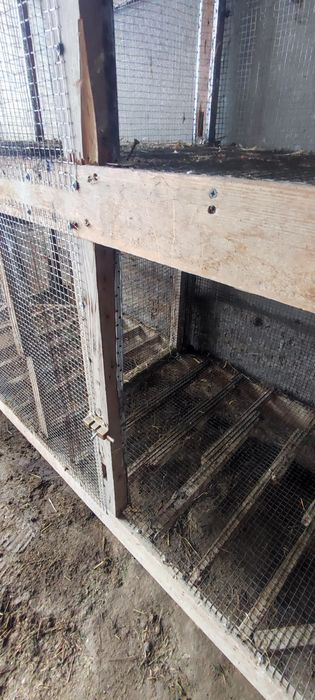 Товук куйон жужалар учун катак