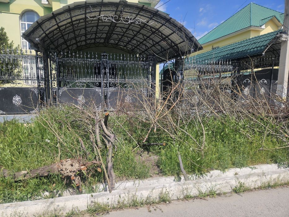 Дрова бесплатно  !