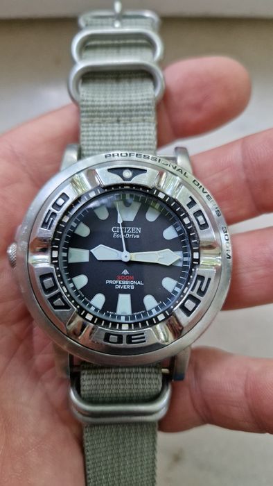 Citizen eco drive promaster ecozilla diver