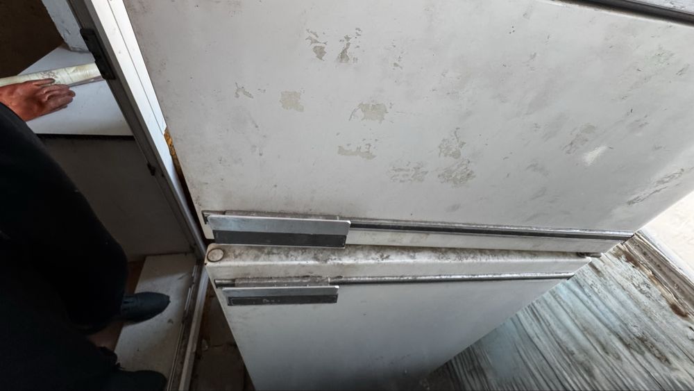 Бирюса холодильник