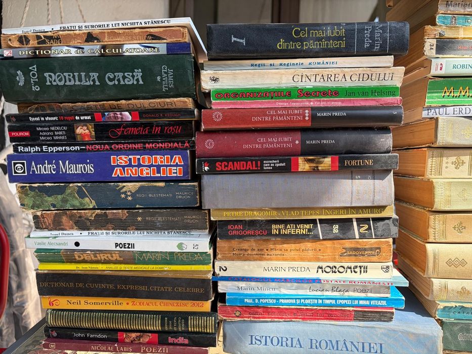Lot 73 de Carti, diverse titluri, stare bună.