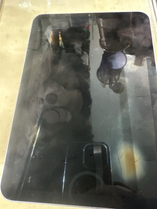 Ipad mini 6 (6-pokoleniya