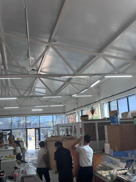 Грузчики от 3500