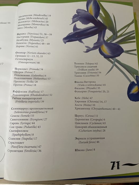 Атлас цветов для школьников