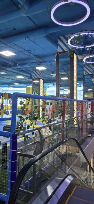 Готовый Бизнес игрушки