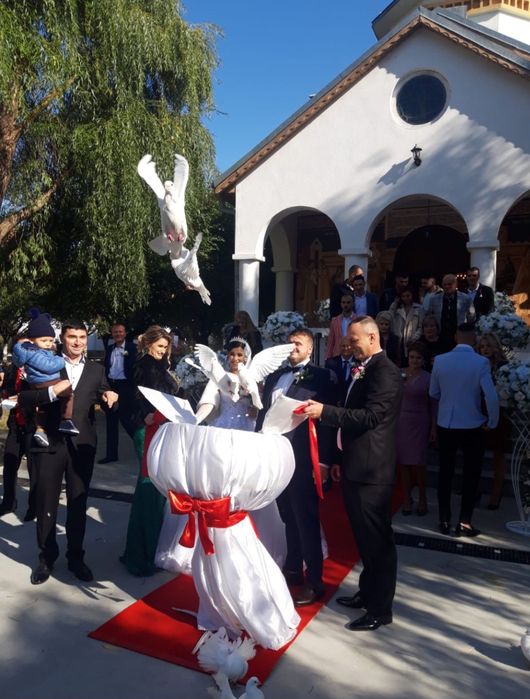 Fum greu/ gheata carbonica/ artificii exterior /porumbei