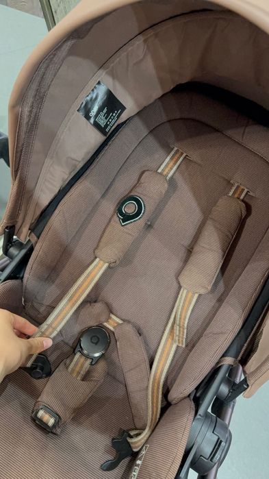 Anex Eli wander 2в1