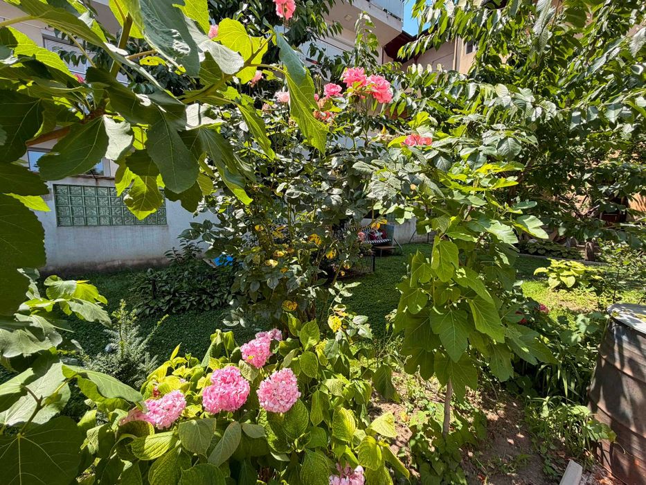 Proprietar inchiriez apartament Central - Banu Manta - 2 camere in vila