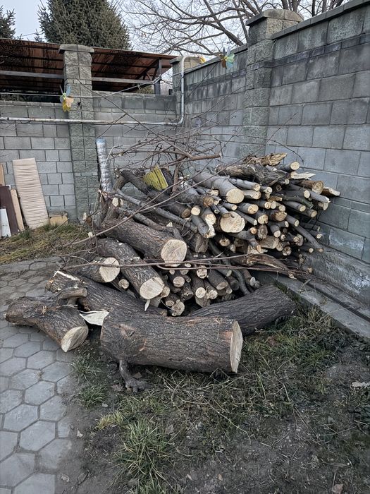 Отдам дрова бесплатно
