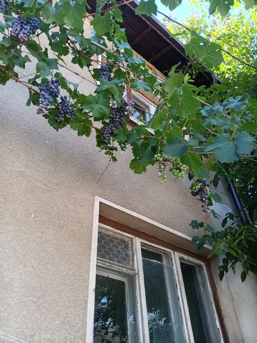 Продава се Къща в Плевен, Мара Денчева - 160 кв.м за 782 €/кв.м - Снимка #3