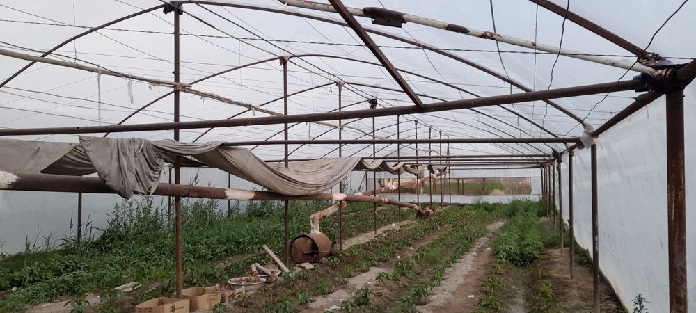 Issiq xona sotiladi holati yaxshi