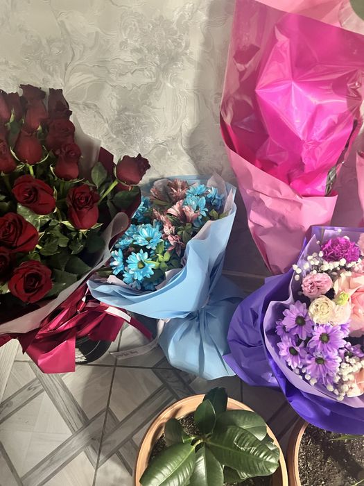 Продам цветы с магазина :Алматы