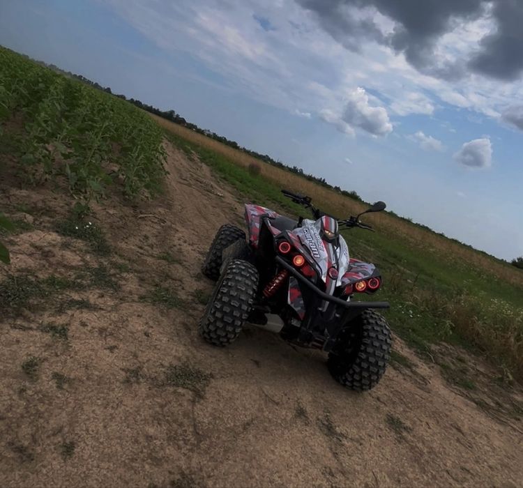 Can am renegade 1000R