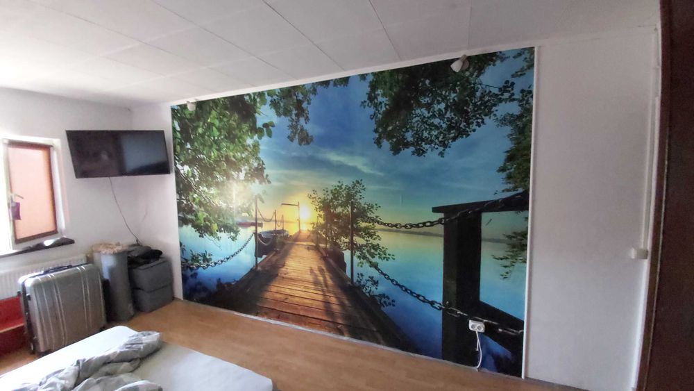 Montaj profesional de tapet si fototapet.