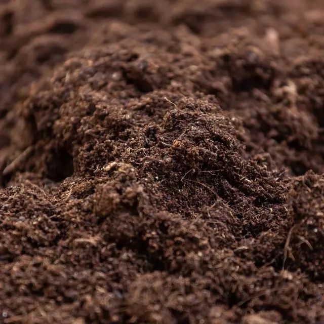 Перегной конский