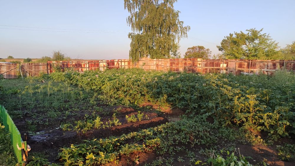 продам дачу вишенка