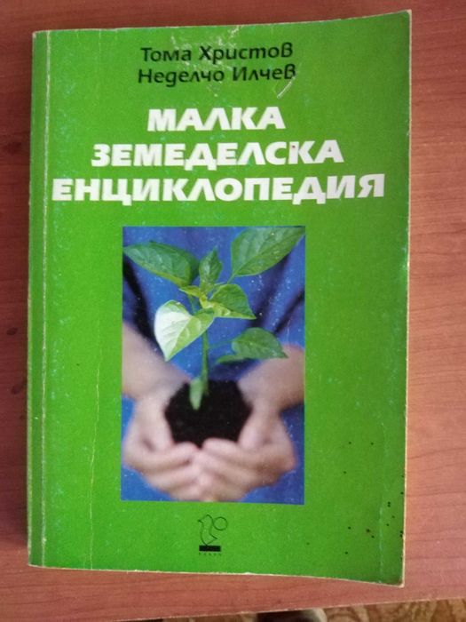 антики,  запазени