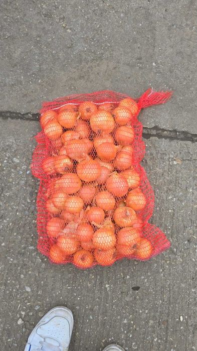 Ceapa ambalata la saci de 10 KG