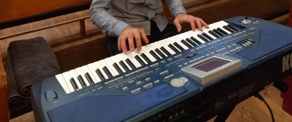 Vand clapa profesionala korg pa800