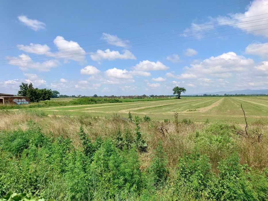 Продава се Земеделски имот в София, Сухата река -  кв.м за 11220 €/дка - Снимка #6