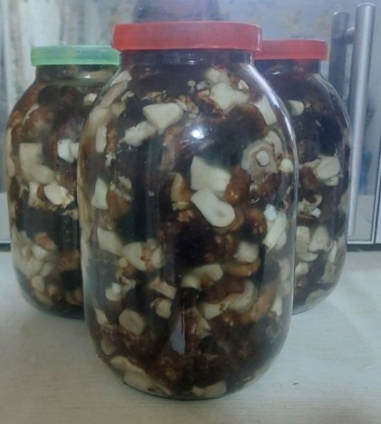 Продам соленые грибочки валуи