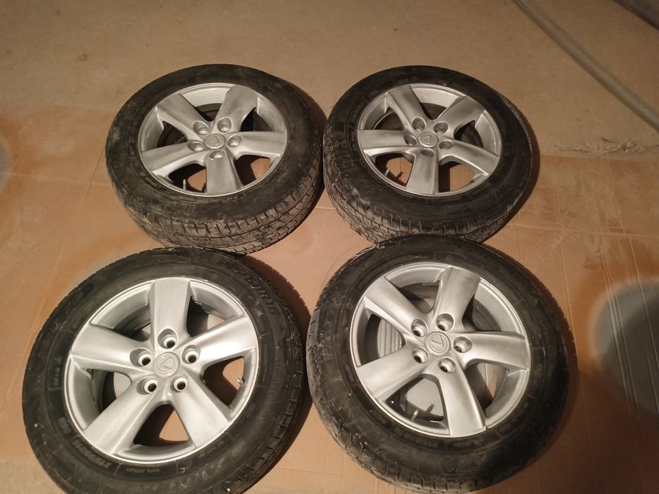 Зима лето все общи