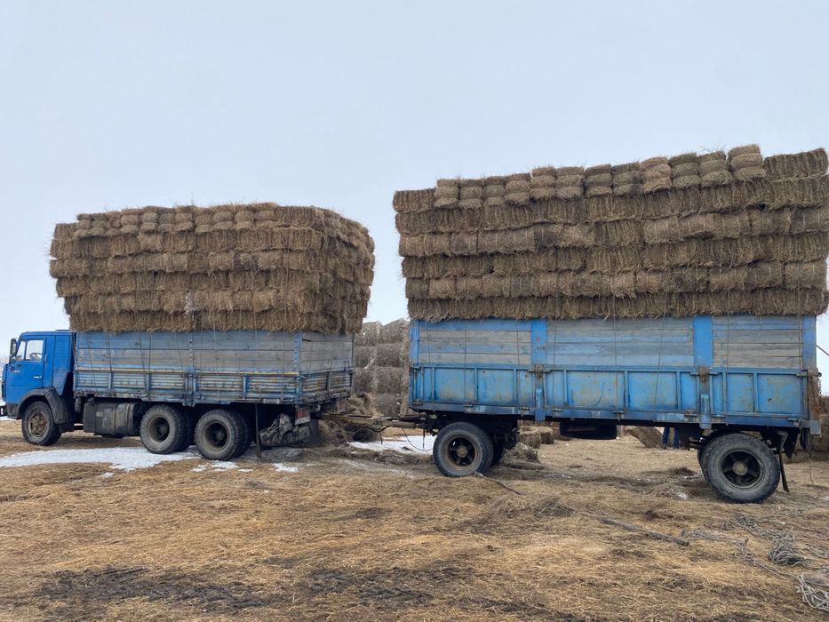 Продам сено тюк житняк