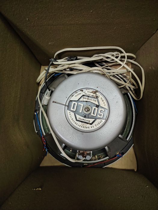 Говорител в добро състояние