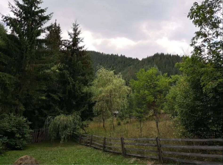 Teren cu cabana off-grid jud Harghita