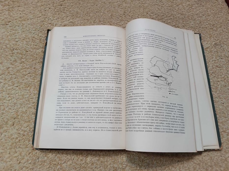 1936 Млекопитающие Семиречья