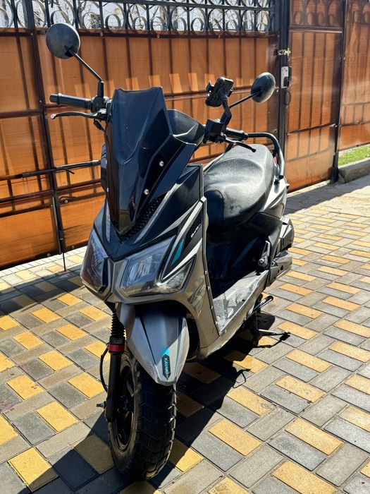 Самурай каваки четкий для этого сезона