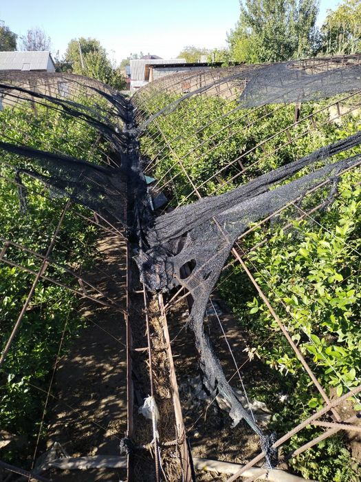 Srochno Yer sotiladi, Yangi Uzbekistan