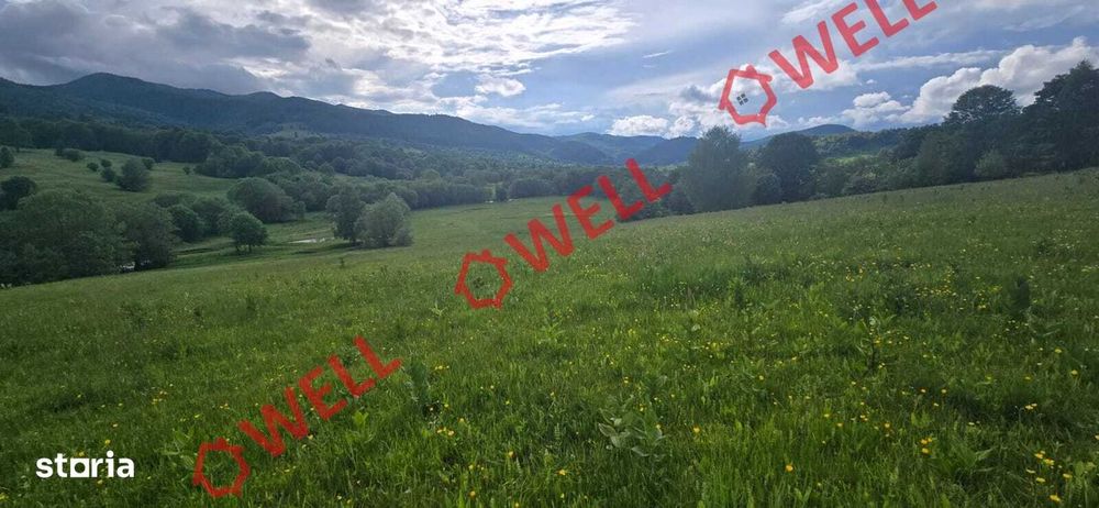 Teren extravilan de vânzare în Vama Buzăului, județul Brașov!