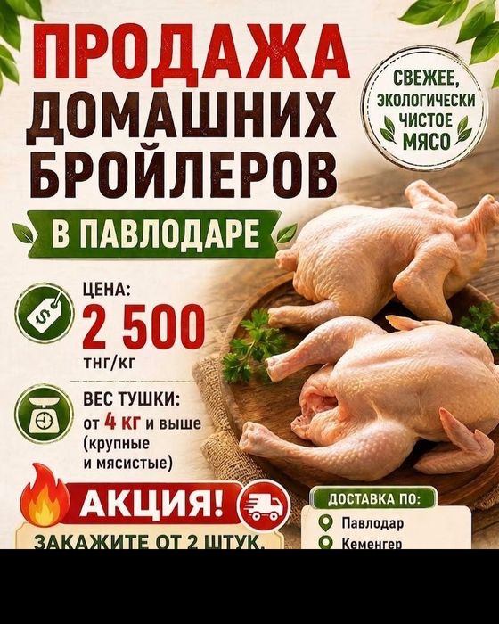 Домашний Бройлеры