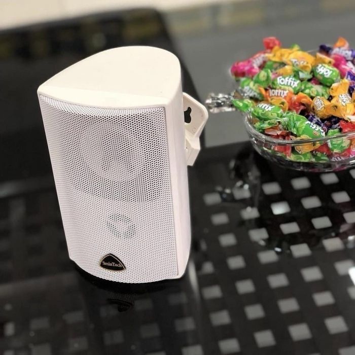 конференционные навесные потолочные уличные всепогодные колонки