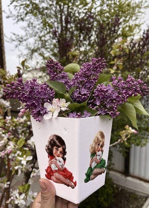 Сирень апрельская