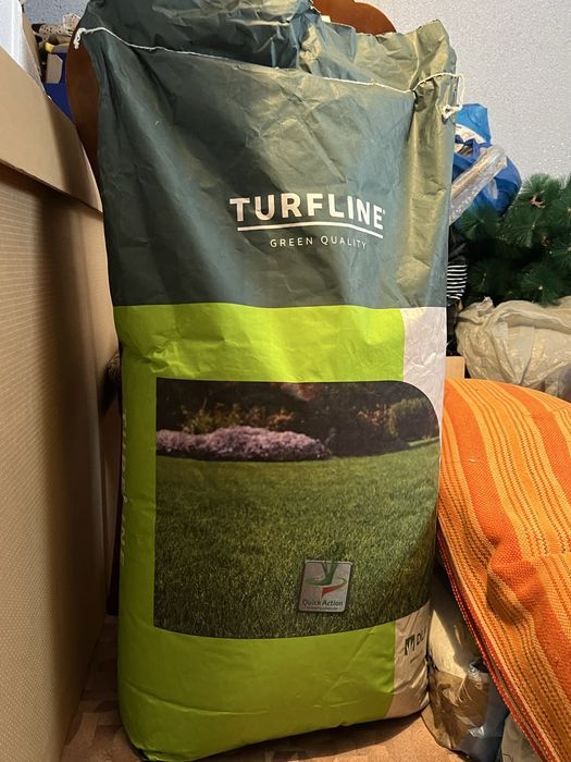 Газон спортный семена