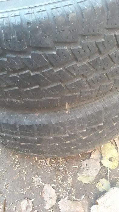 Cauciucuri iarna 205 65 r 16 C