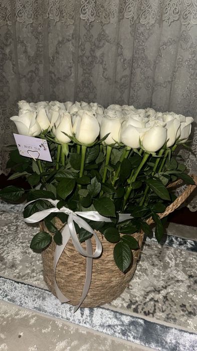 Розы класное 49шт