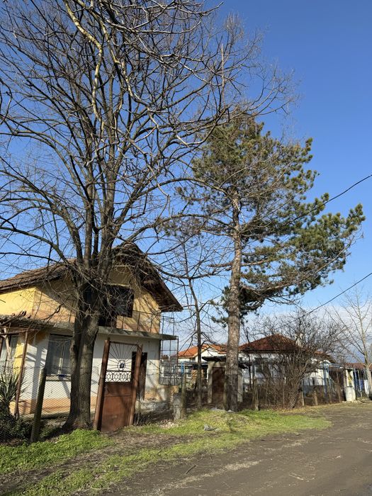 Кастрене и Събаряне на Опасни Дървета