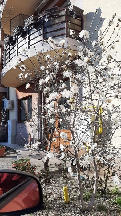 PROPRIETAR 2 cam et2 în  vilă + PARCARE"in pret Gradina cu magnolii"