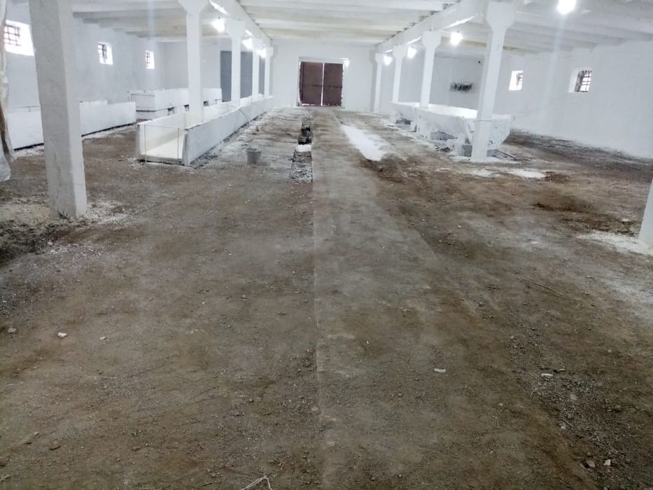 Побелка. Әк шашамыз. Известь